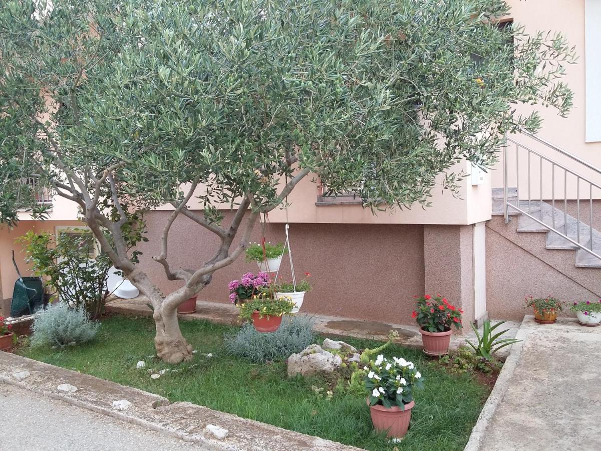 Apartments Ivan زادار المظهر الخارجي الصورة
