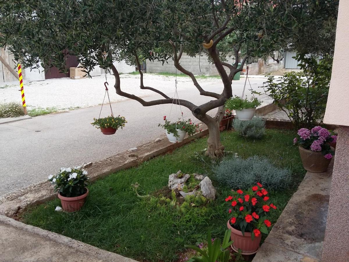 Apartments Ivan زادار المظهر الخارجي الصورة